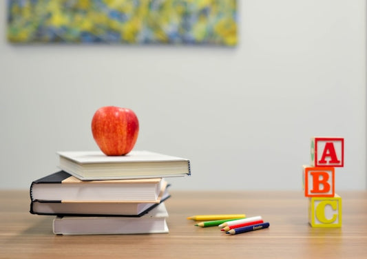 Eğlenerek Öğrenmek: Eğitici Oyuncaklarla Çocukların Bilgi Dünyası