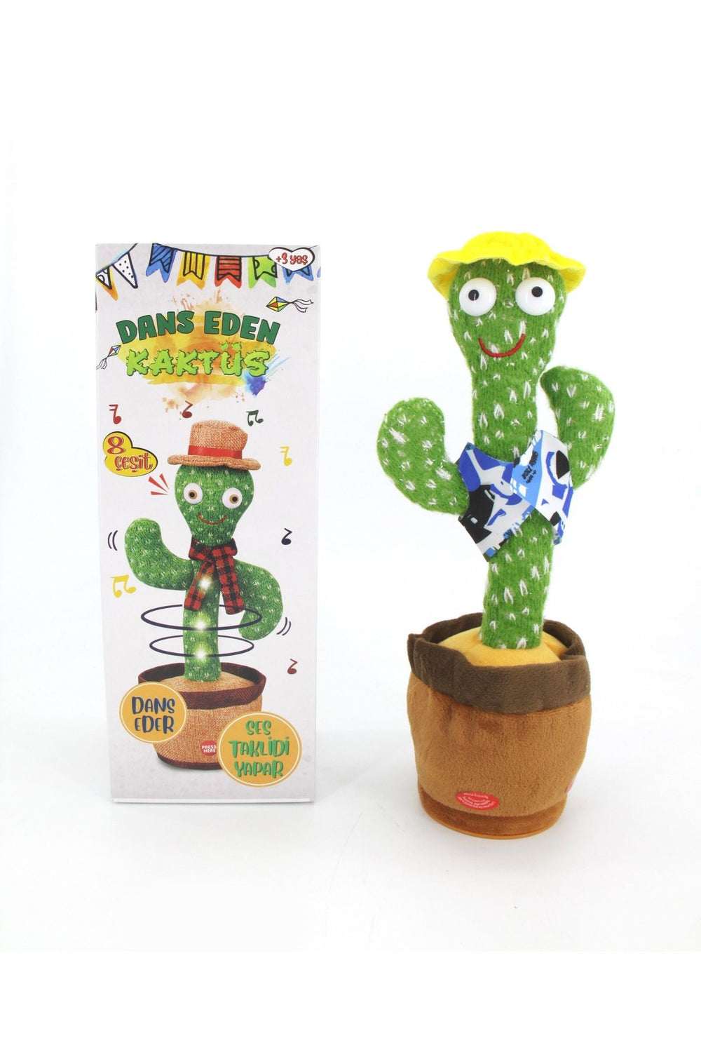 DANS EDEN KAKTÜS USB ŞARJLI