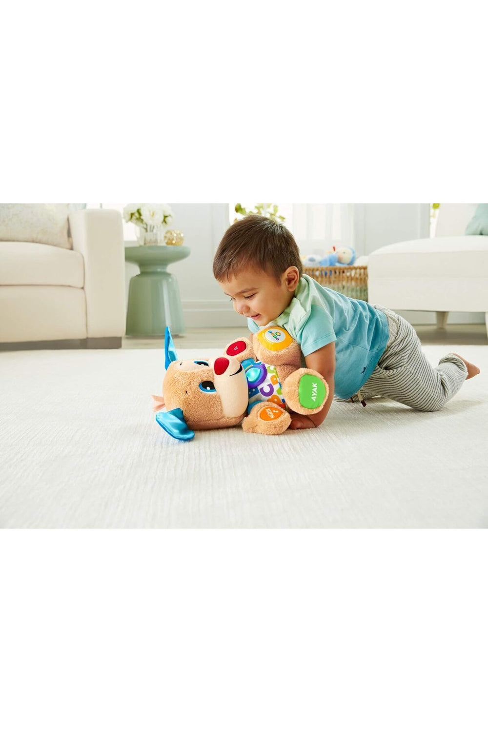 FISHER PRICE Eğitici Köpekçik