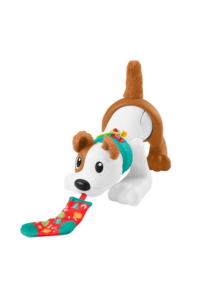 FISHER PRICE Emeklemeyi Ve Saymayı Öğreten Köpekçik