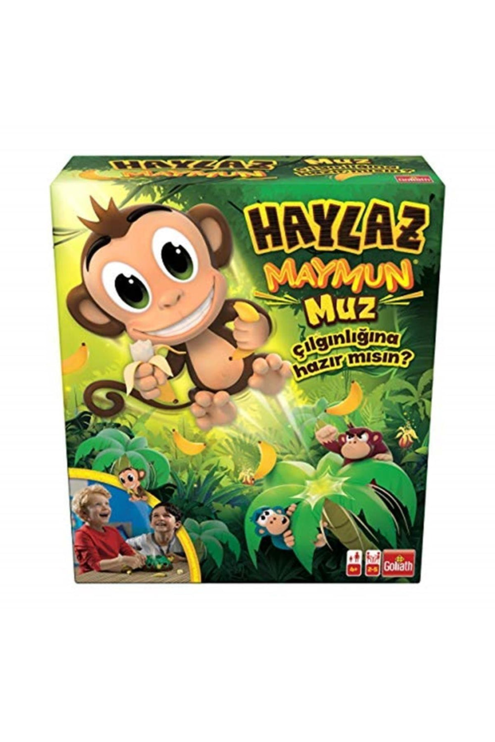 Haylaz Maymun 918668