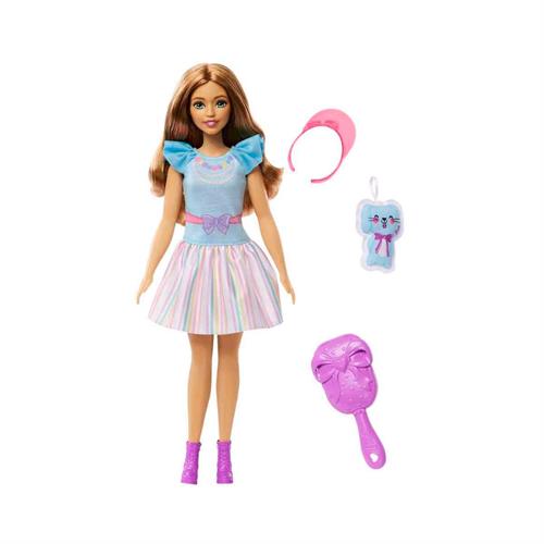 My First Barbie Serisi Bebekleri HLL18