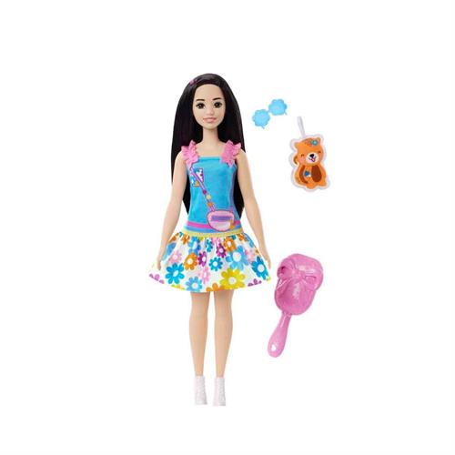 My First Barbie Serisi Bebekleri HLL18