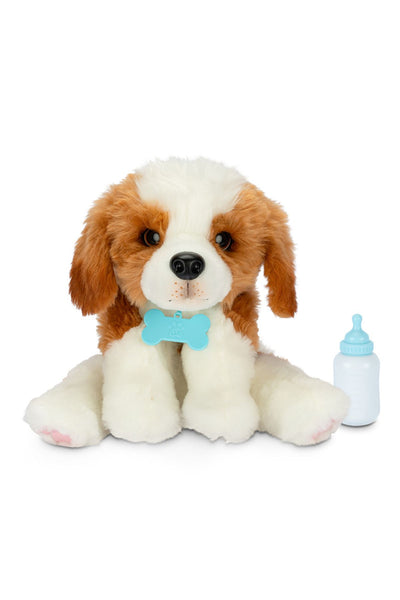 Sevimli Köpeğim Lp800000