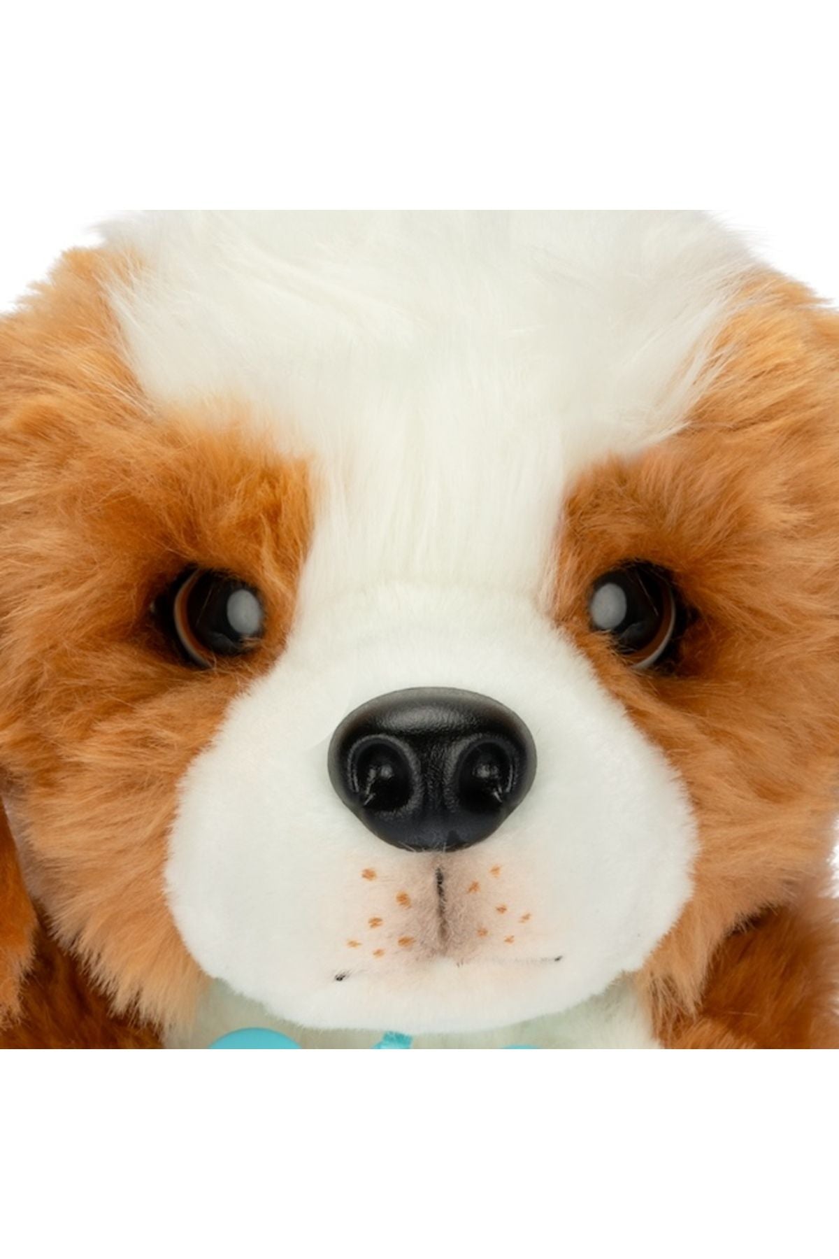 Sevimli Köpeğim Lp800000